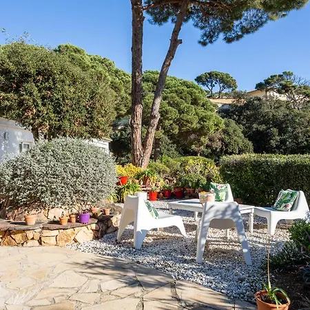 Palmera Villa Tossa de Mar
